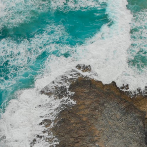 Waves of Thought
