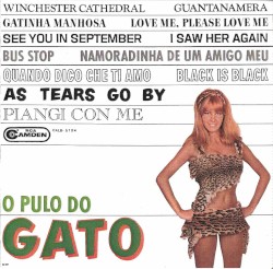 O Pulo do Gato
