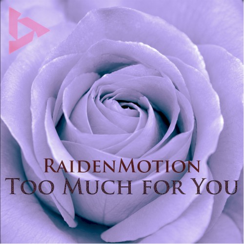 Too Much For You