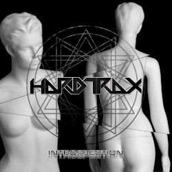 Introspection