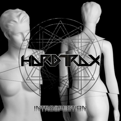 Introspection