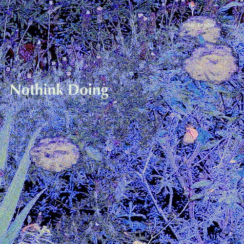 Nothink Doing