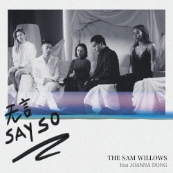 Say So (Mandarin version)