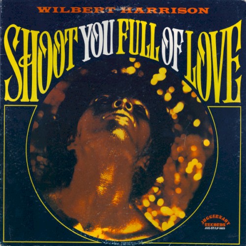 Shoot You Full of Love