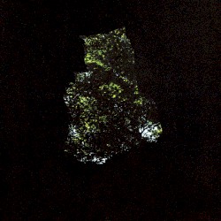 Precipice