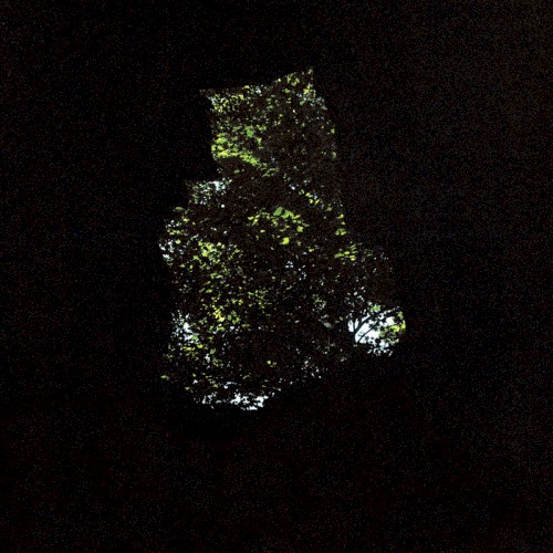 Precipice