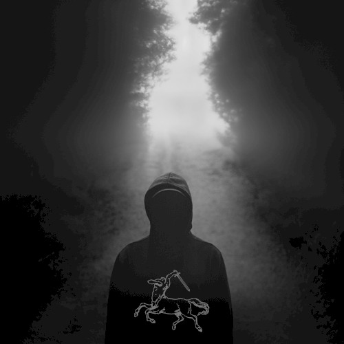 Echo