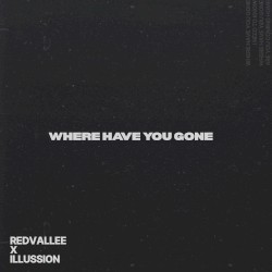 WHERE HAVE YOU GONE
