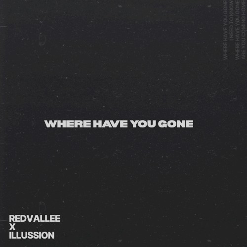 WHERE HAVE YOU GONE