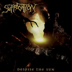 Despise the Sun