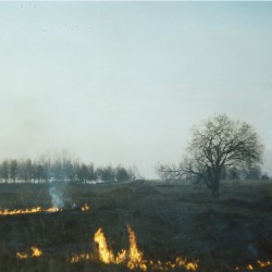 холодно
