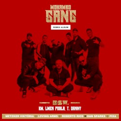 Mokambo Gang (remix album)