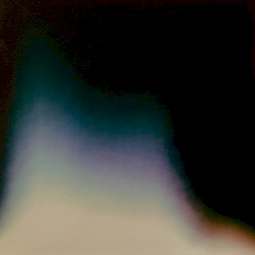 The Polaroid Series