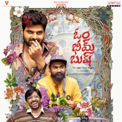 Om Bheem Bush