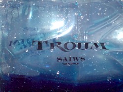 Saiws