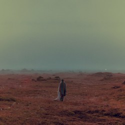 Fallen Paradise