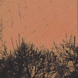 Demo Three