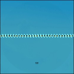 Cherenkov Collapse