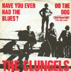 Have You Ever Had the Blues / Do the Dog