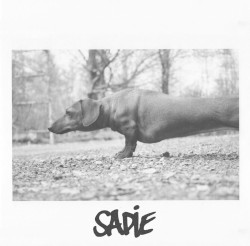 Sadie EP