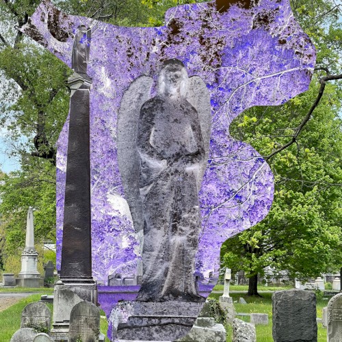 Cruel Angel
