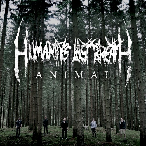Animal