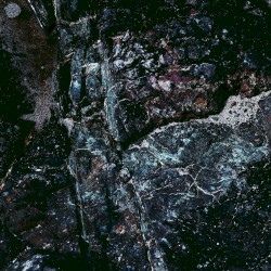 anthology, 2015