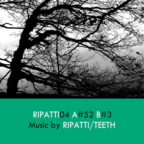 Ripatti04