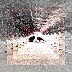 #115: A Body, a Silent Companion, Exacting and Eternal
