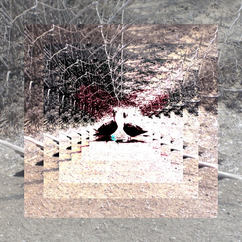 #115: A Body, a Silent Companion, Exacting and Eternal