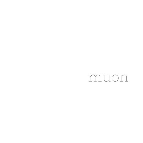 muon