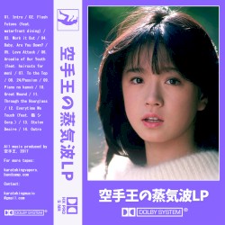 空手王の蒸気波LP