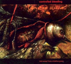 Dub Songs From a Shallow Grave