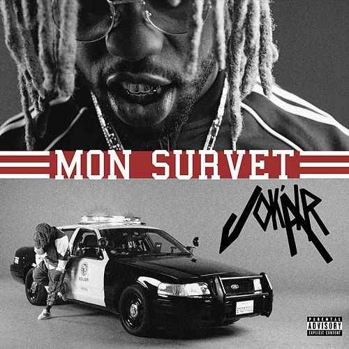 Mon Survet
