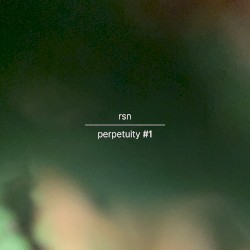 perpetuity #1