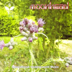 Moonhead: Music from the Underground, Volume 9: International Underground Music