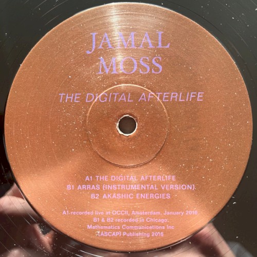 The Digital Afterlife