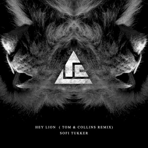Hey Lion (Tom & Collins remix)
