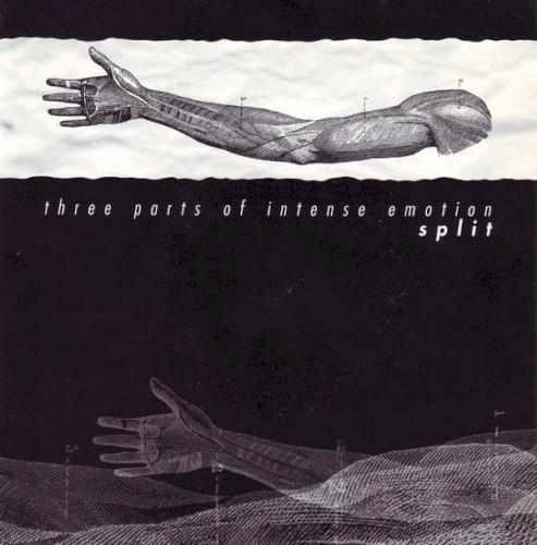 Three Parts Of Intense Emotion - Split