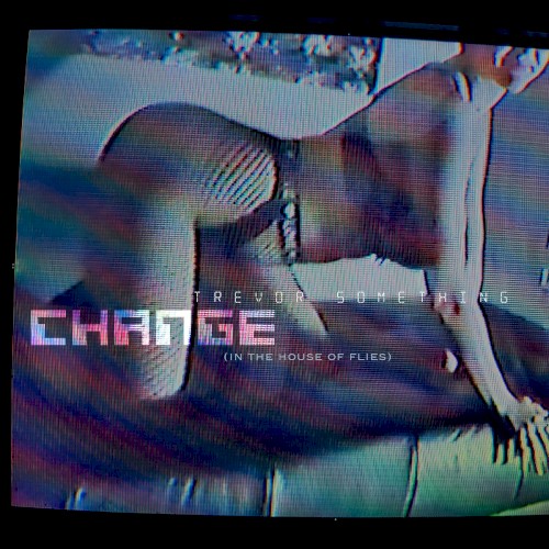 Change (In The House Of Flies)