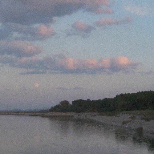 달 (Moon)