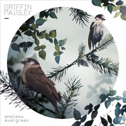 Endless Evergreen