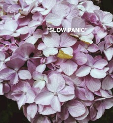 "SLOW PANIC"