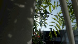 warm autumn light
