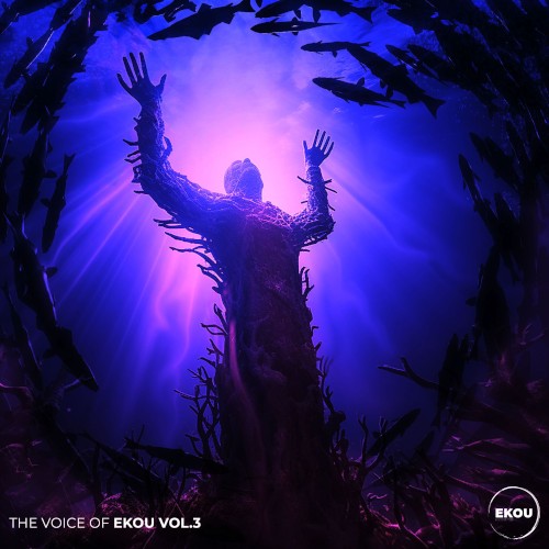 The Voice of Ekou, Vol. 3