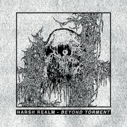 Beyond Torment