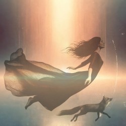 Dear Solitude