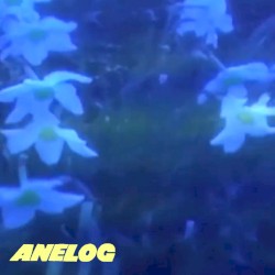 Anelog