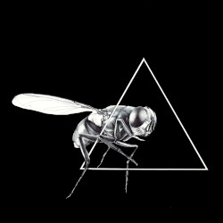 Delta Fly