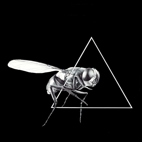 Delta Fly